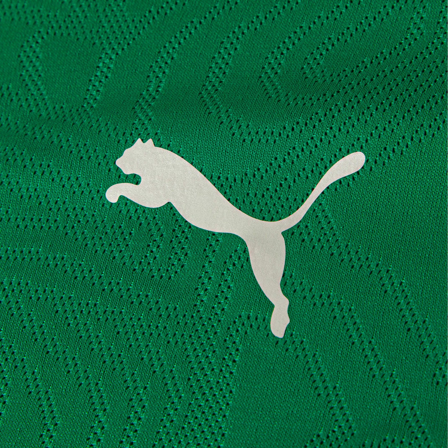 Camisa Treino Puma Fluminense 2026/27 Verde - imagem 4