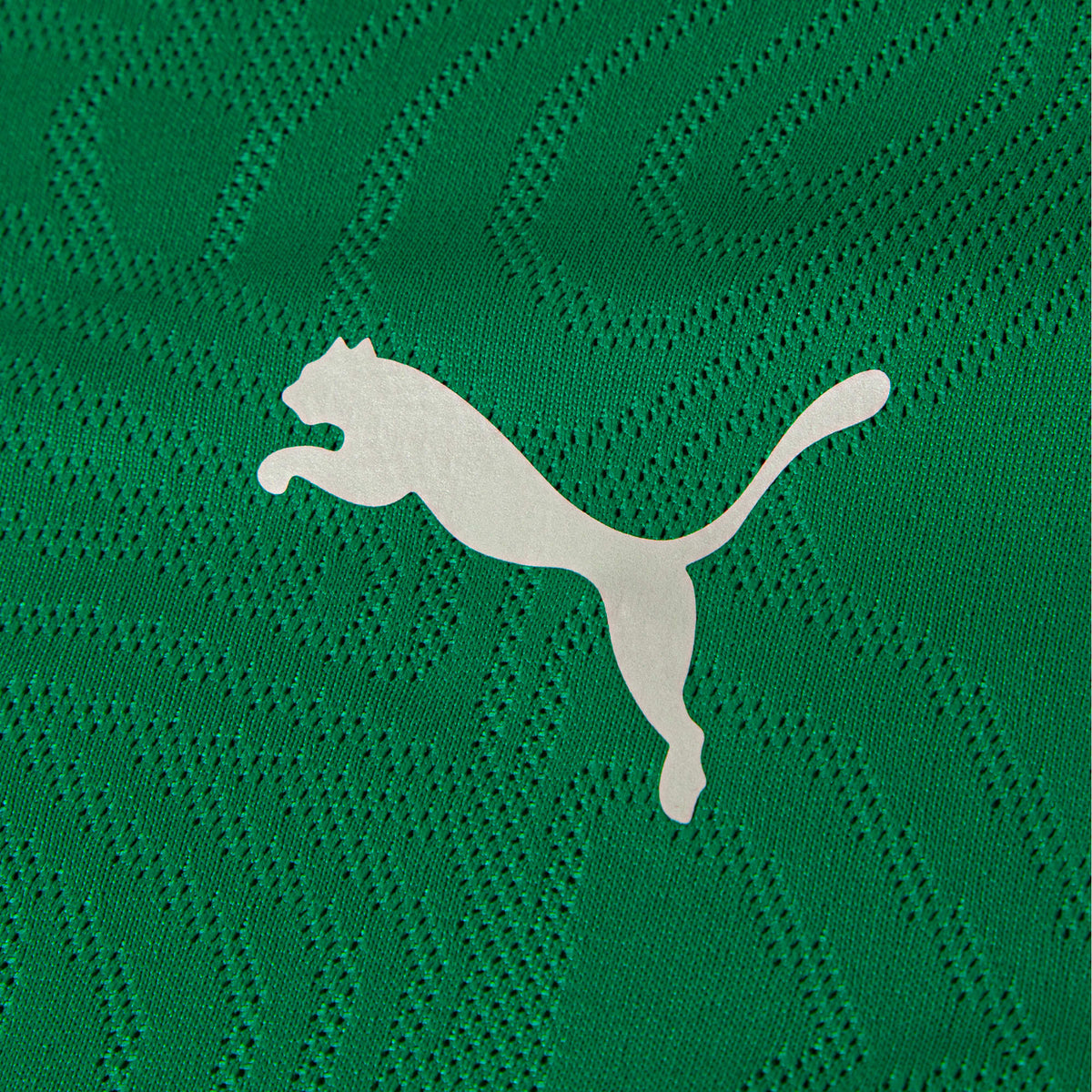 Camisa Treino Puma Fluminense 2026/27 Verde - imagem 4