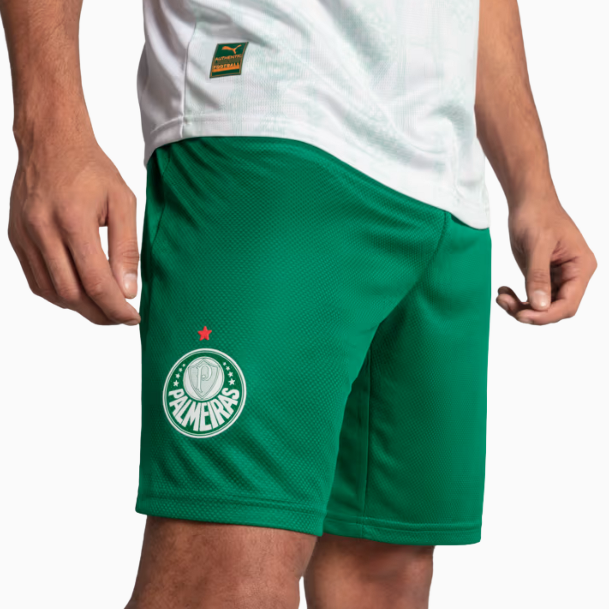 Shorts Palmeiras 2025 II - Torcedor - imagem 3