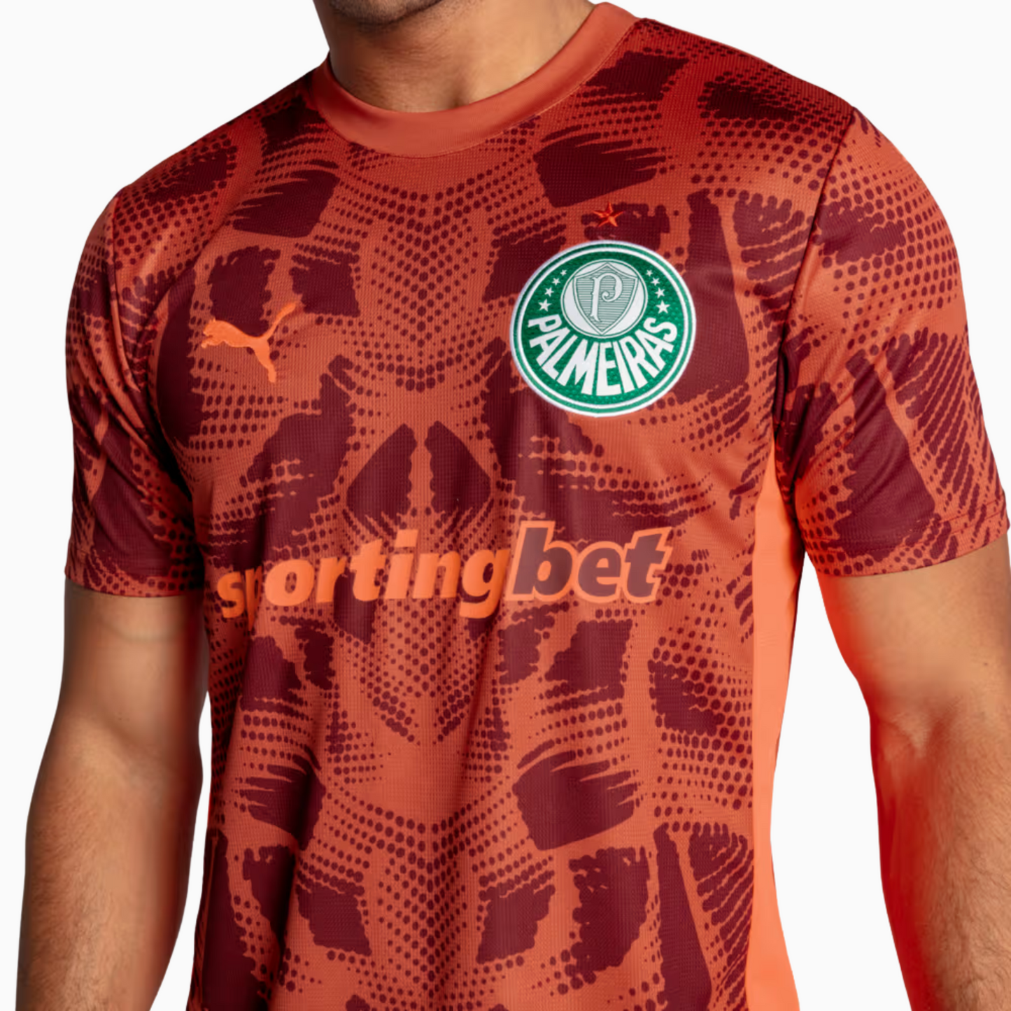 Camisa Goleiro Palmeiras 2025/26 II - Torcedor - imagem 4