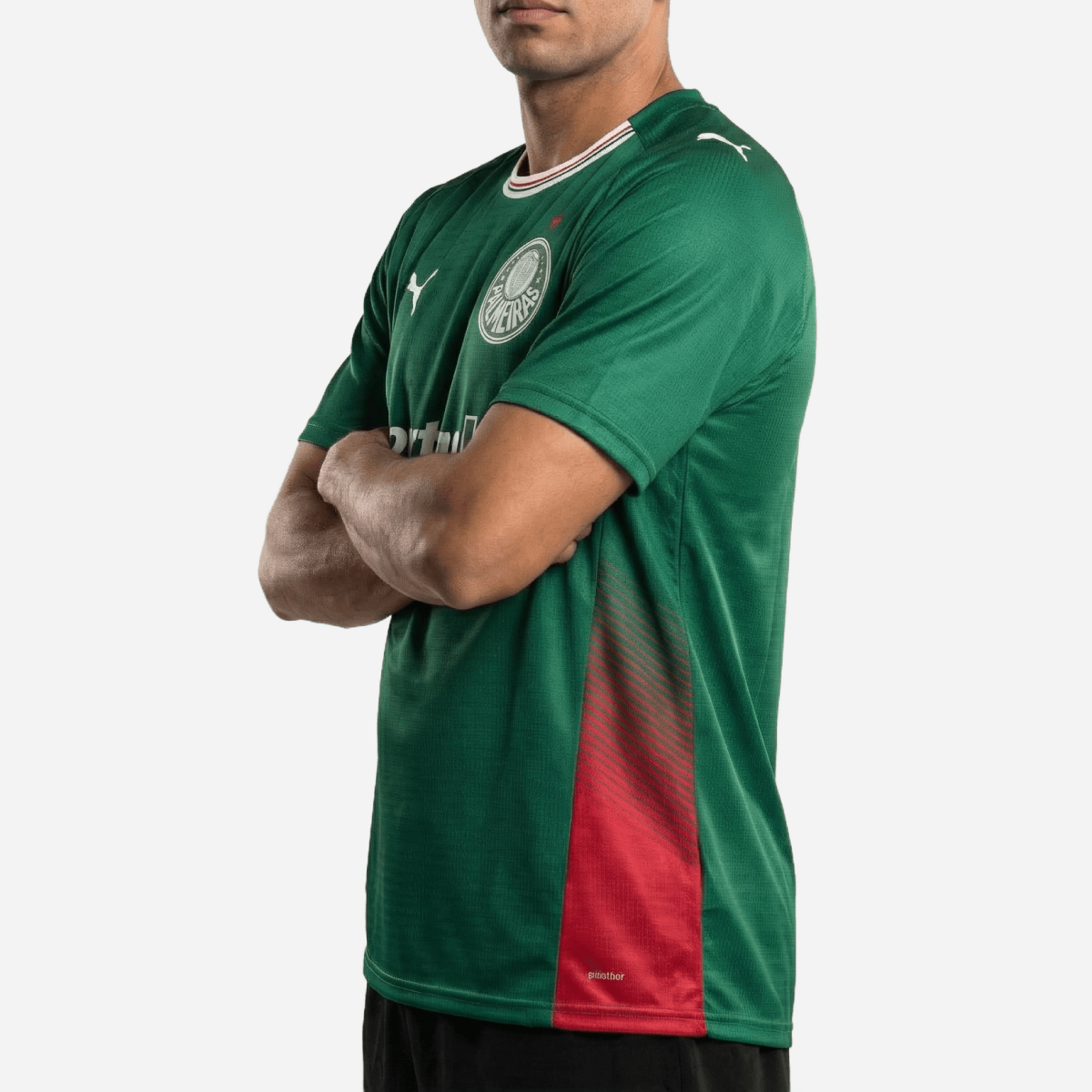 Camisa Puma Palmeiras 2026/27 I Torcedor - imagem 3
