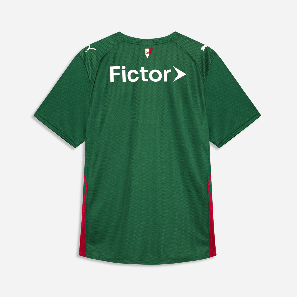 Camisa Puma Palmeiras 2026/27 I Torcedor - imagem 6