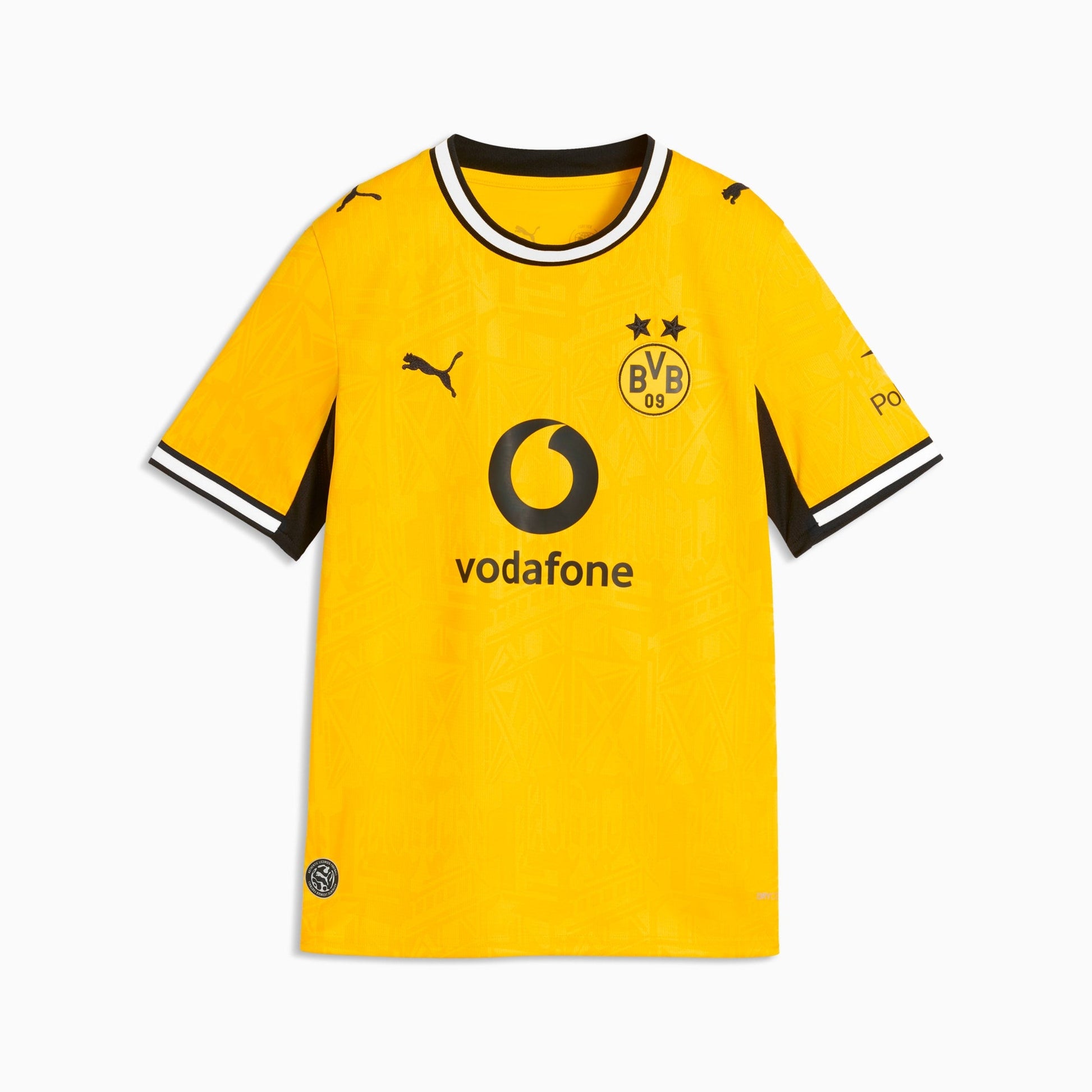 Conjunto Infantil Puma Borussia Dortmund 2026/27 I
