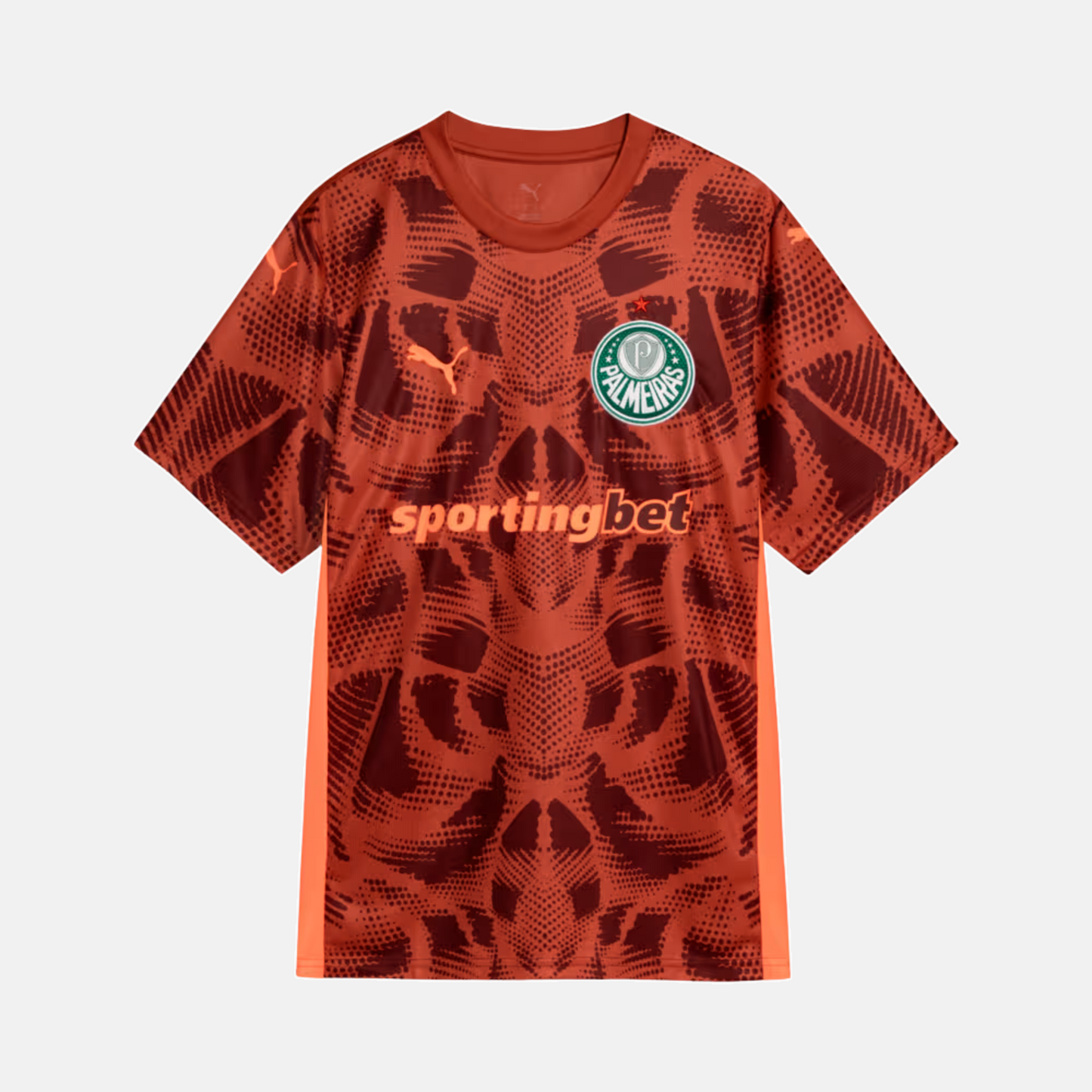 Camisa Goleiro Palmeiras 2025/26 II - Torcedor
