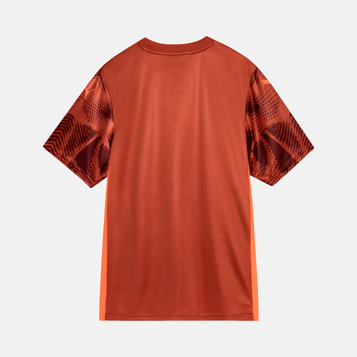 Camisa Goleiro Palmeiras 2025/26 II - Torcedor - imagem 2