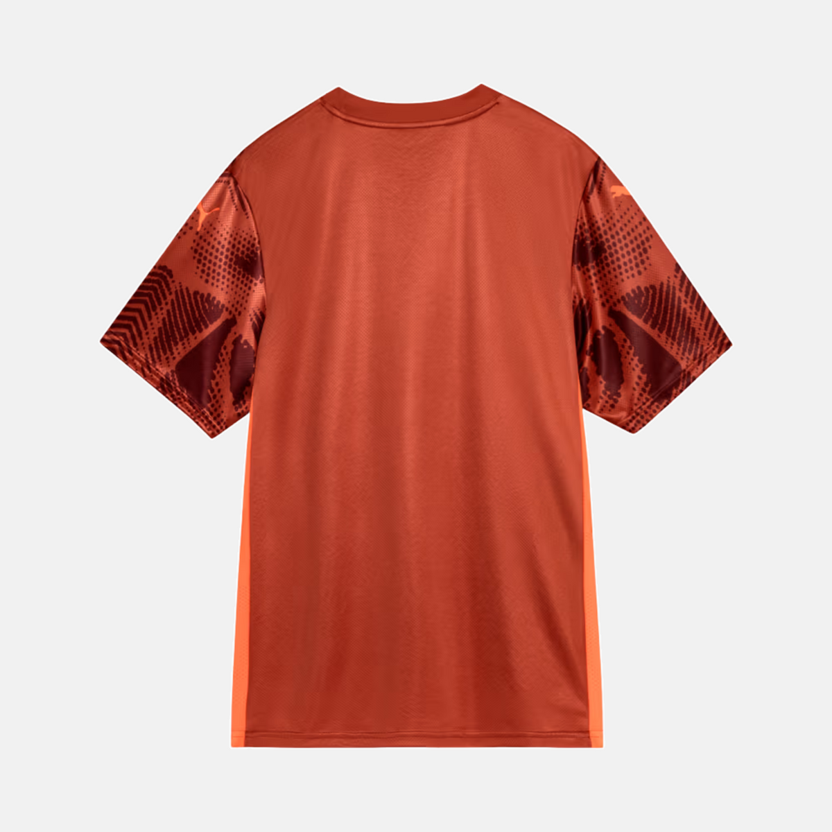 Camisa Goleiro Palmeiras 2025/26 II - Torcedor - imagem 2