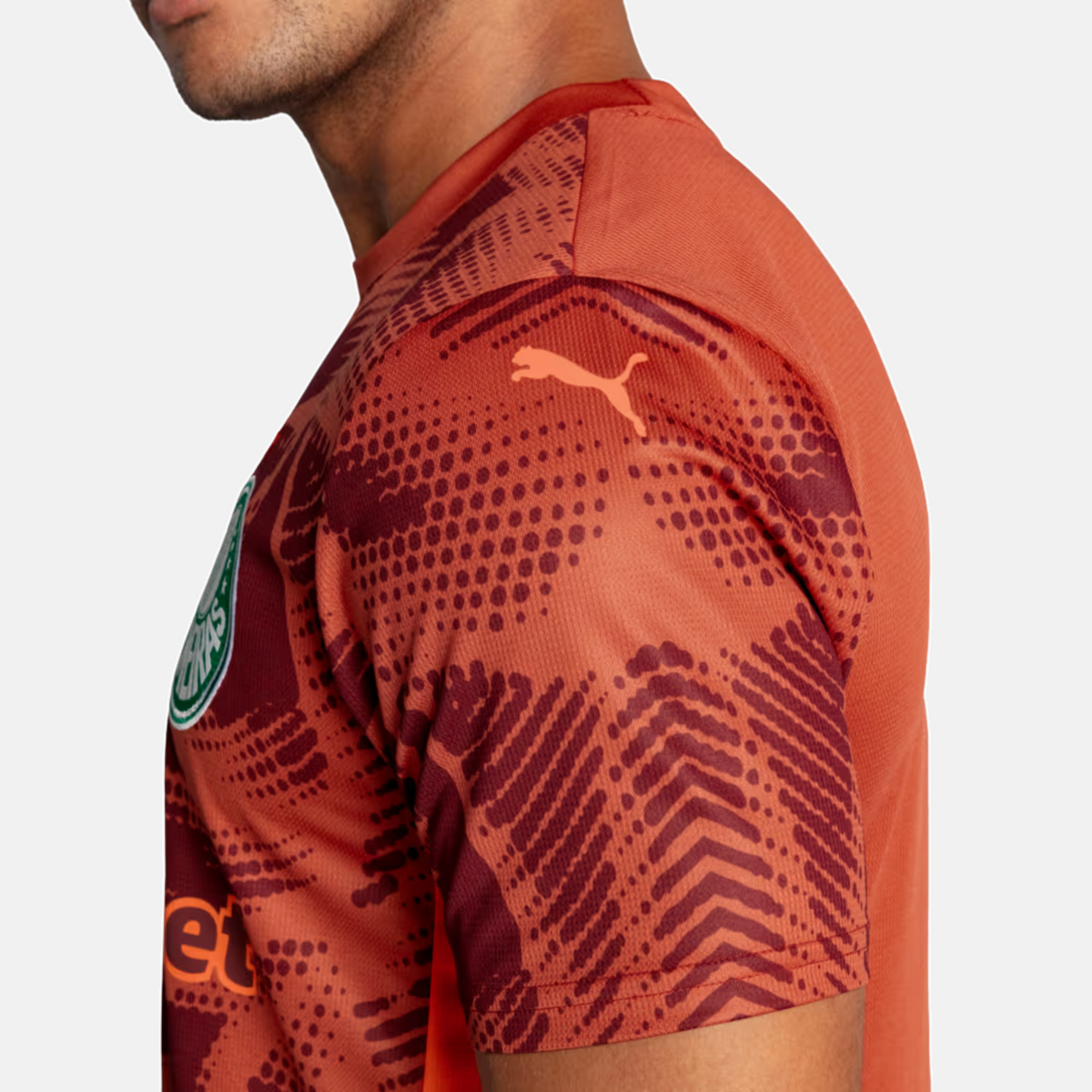 Camisa Goleiro Palmeiras 2025/26 II - Torcedor - imagem 5