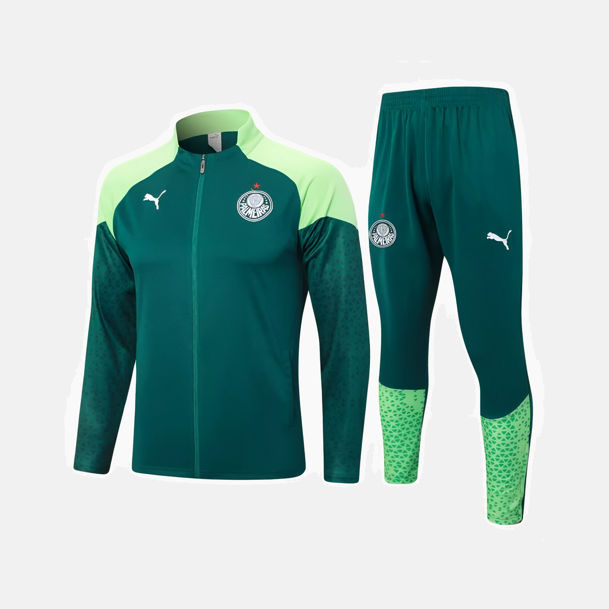 Conjunto de Treino Palmeiras 2024/25 I - Masculino