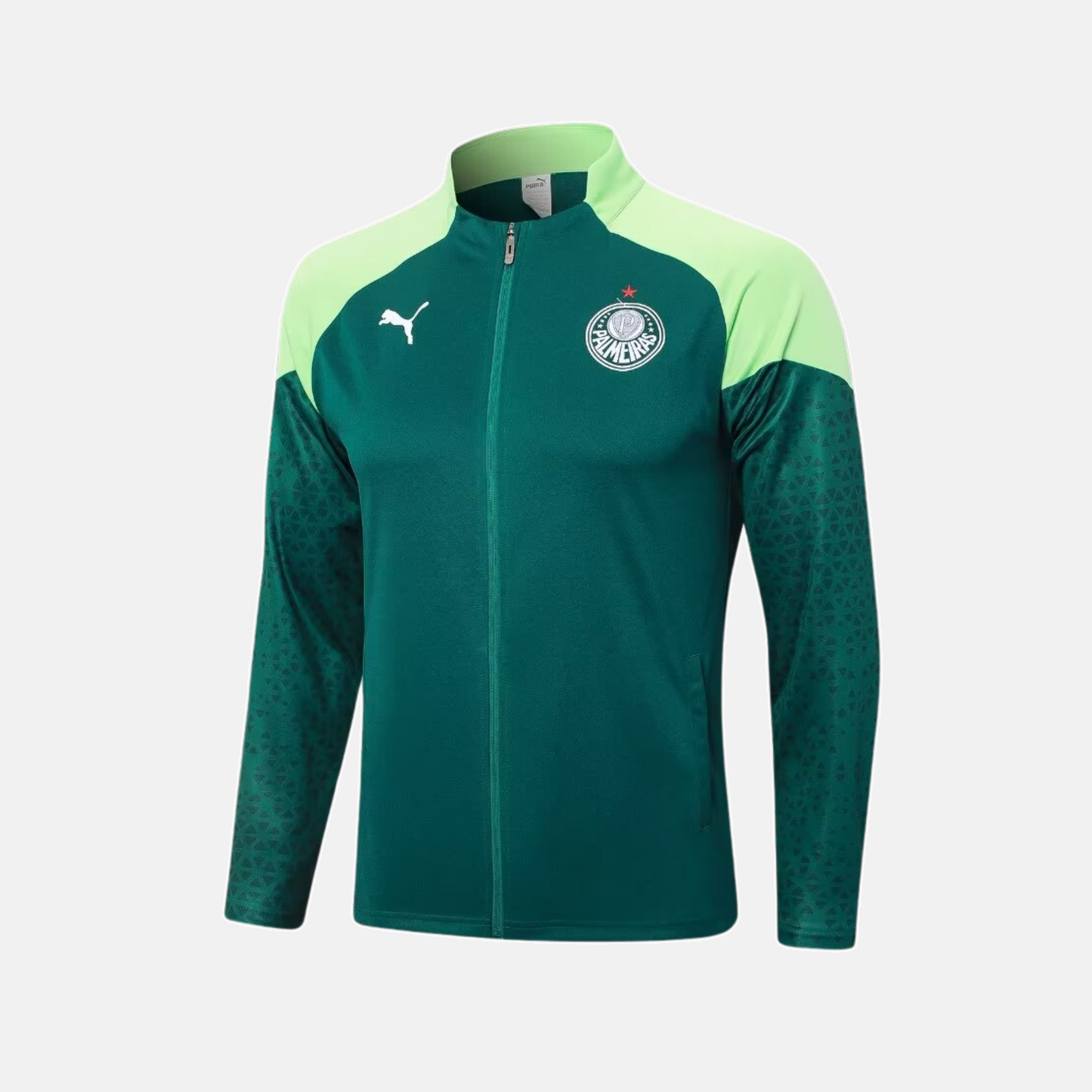 Conjunto de Treino Palmeiras 2024/25 I - Masculino - imagem 2
