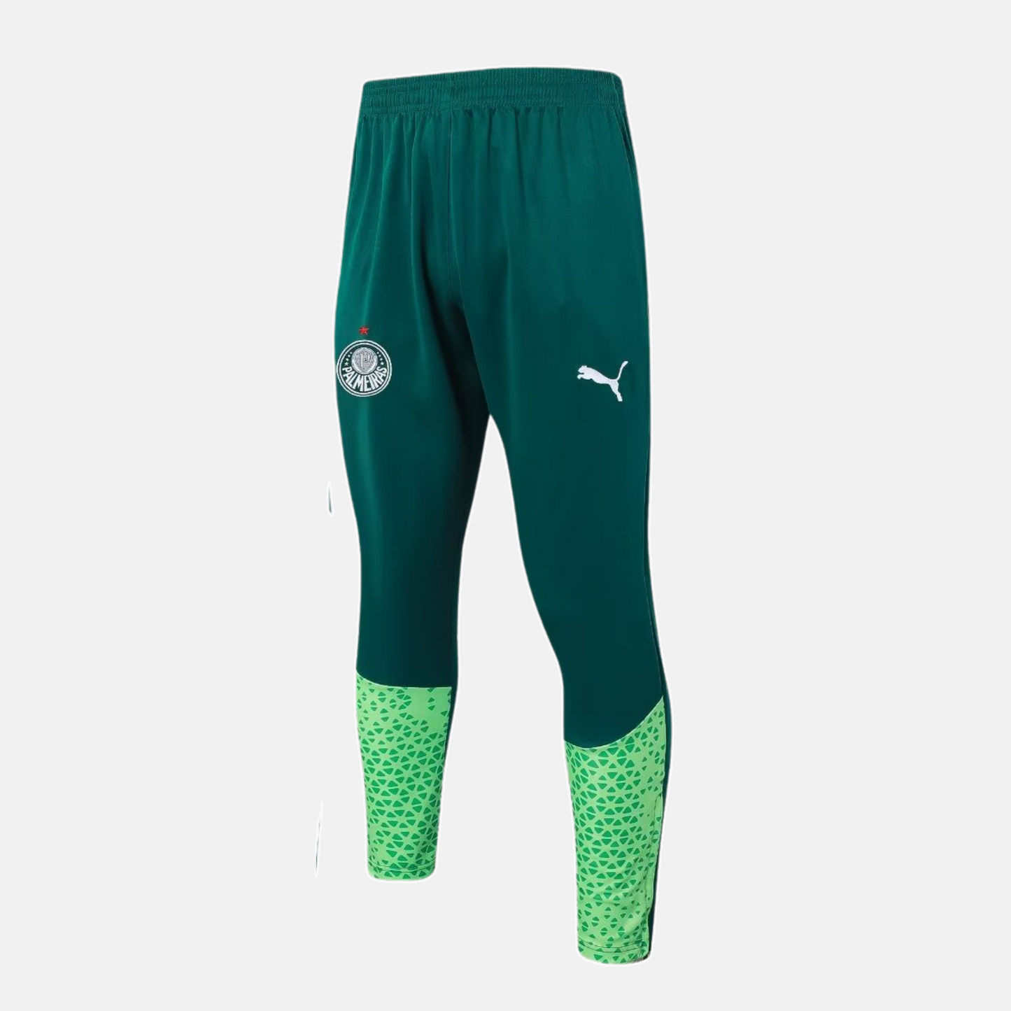Conjunto de Treino Palmeiras 2024/25 I - Masculino - imagem 3