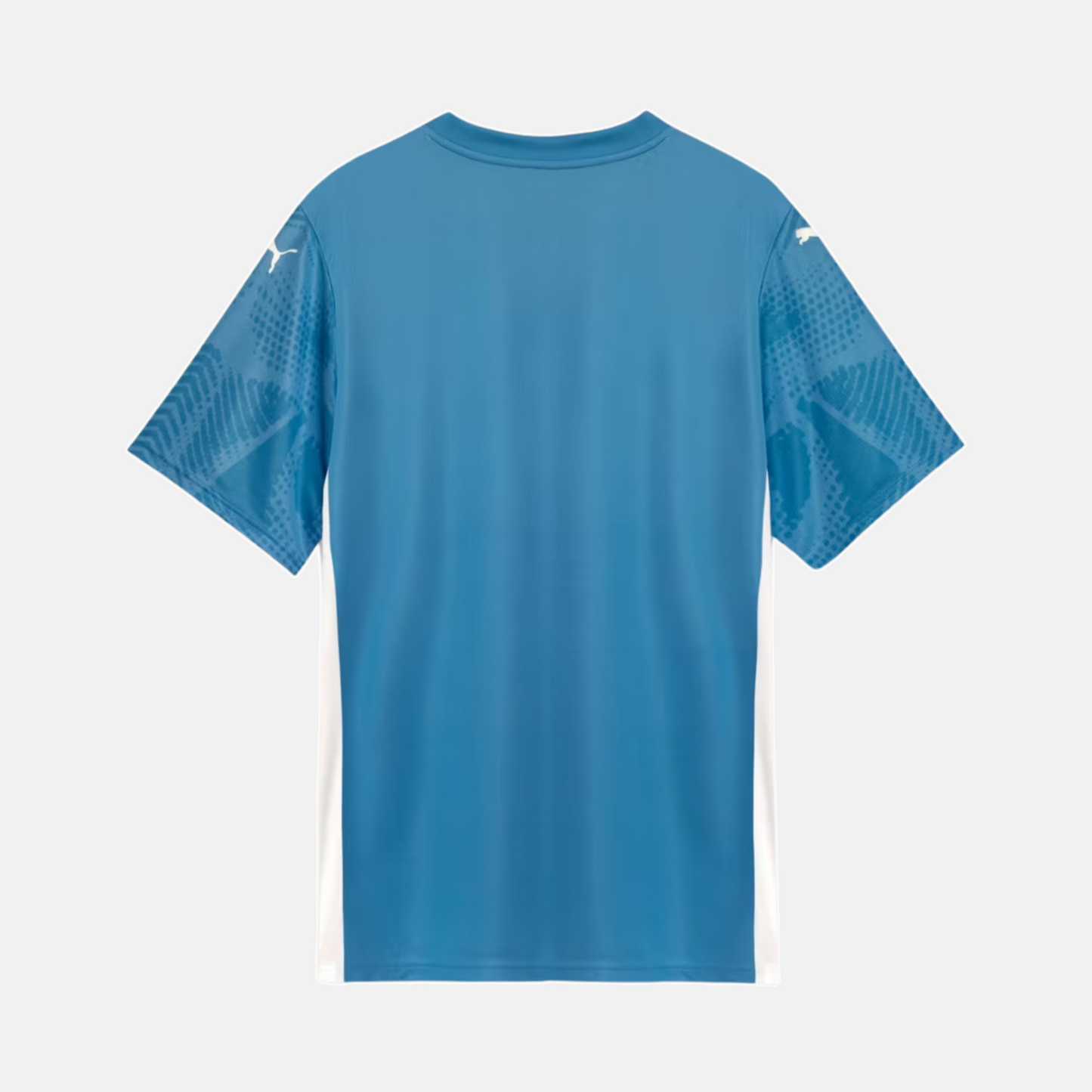 Camisa Goleiro Palmeiras 2025 I - Torcedor - imagem 2