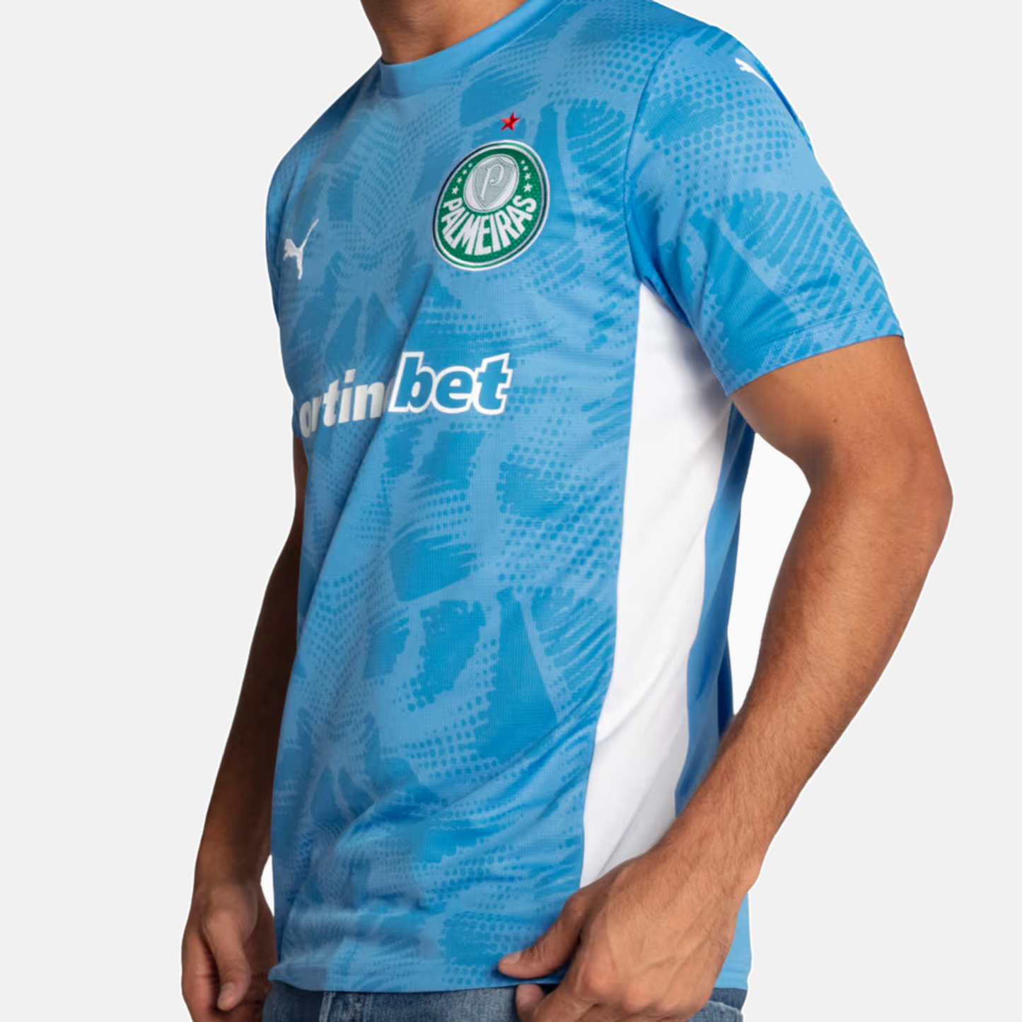 Camisa Goleiro Palmeiras 2025 I - Torcedor - imagem 5