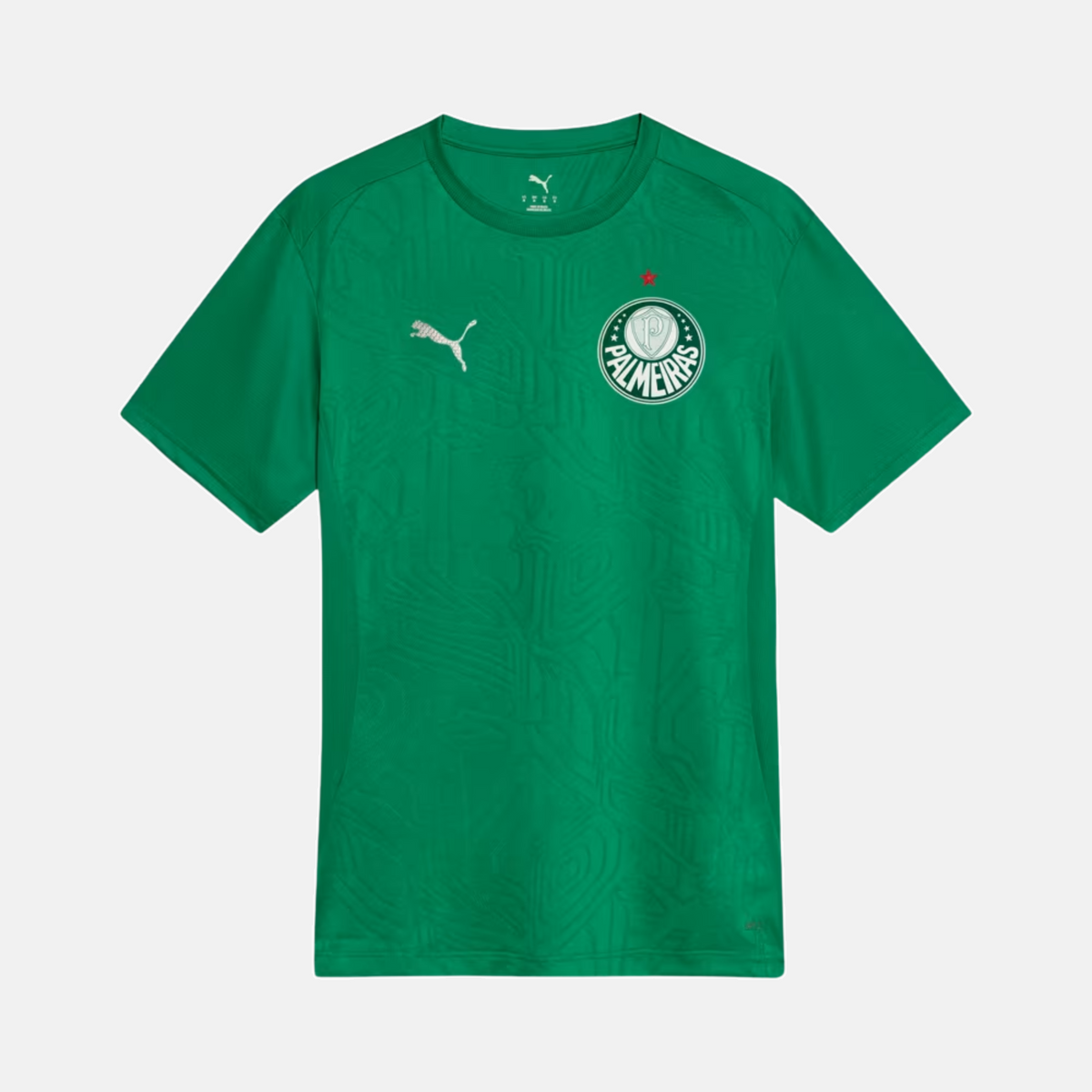 Camisa Palmeiras 2025 - Treino