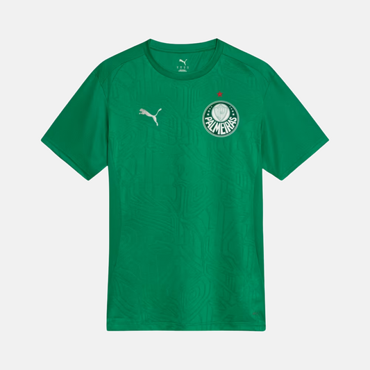 Camisa Palmeiras 2025 - Treino
