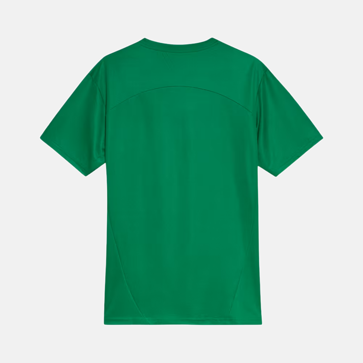 Camisa Palmeiras 2025 - Treino - imagem 2