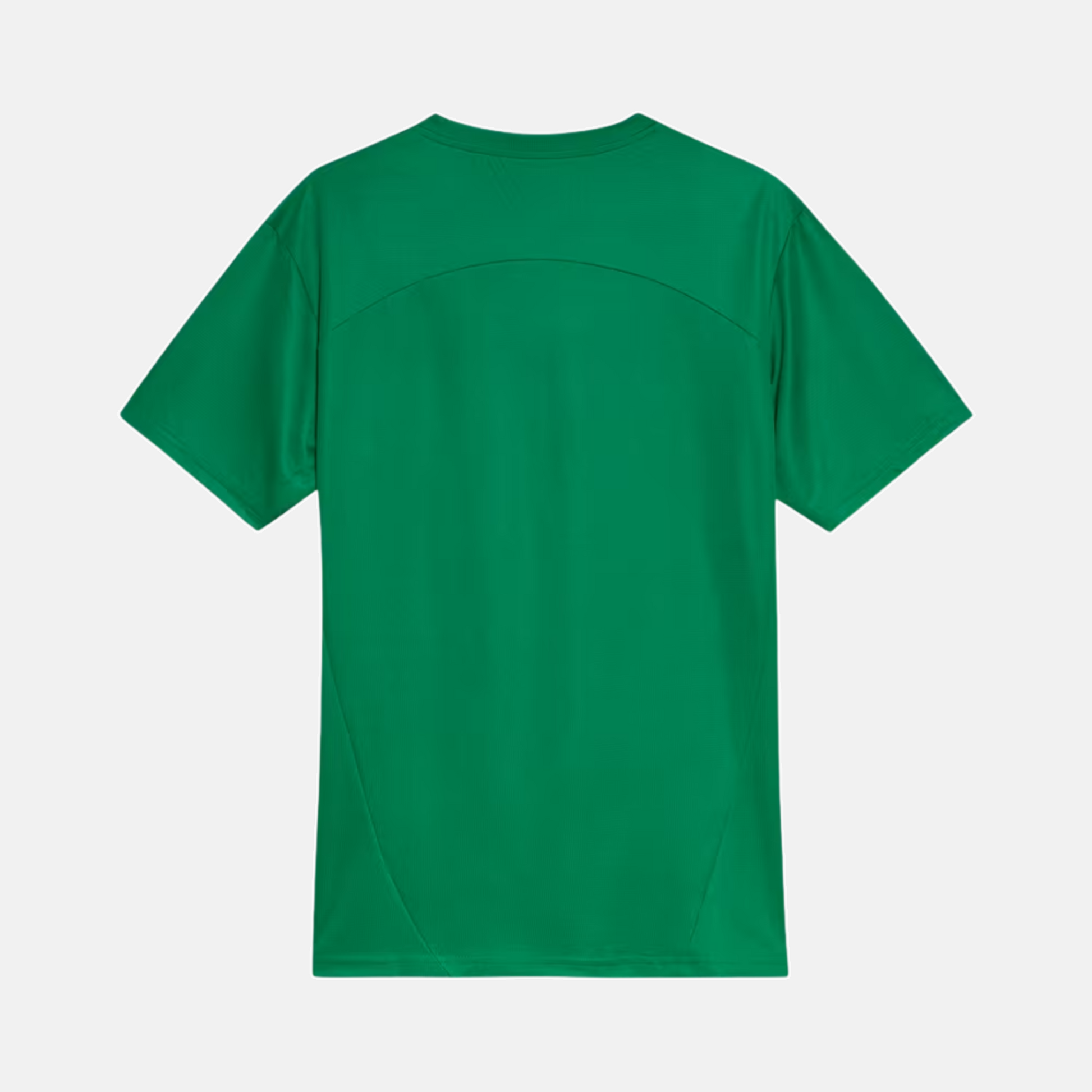 Camisa Palmeiras 2025 - Treino - imagem 2
