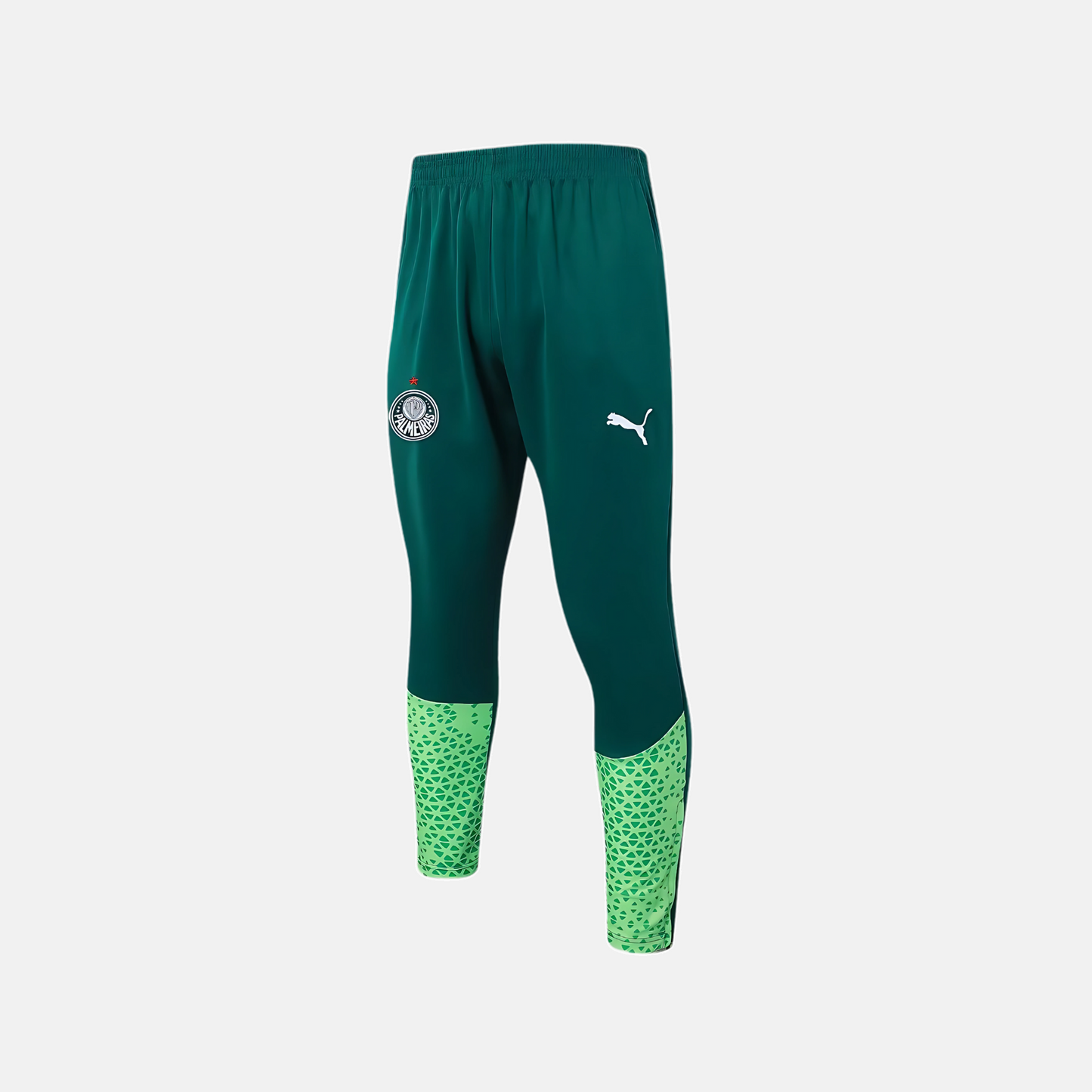 Conjunto de Treino Puma Palmeiras 2024/25 II - Masculino - imagem 3