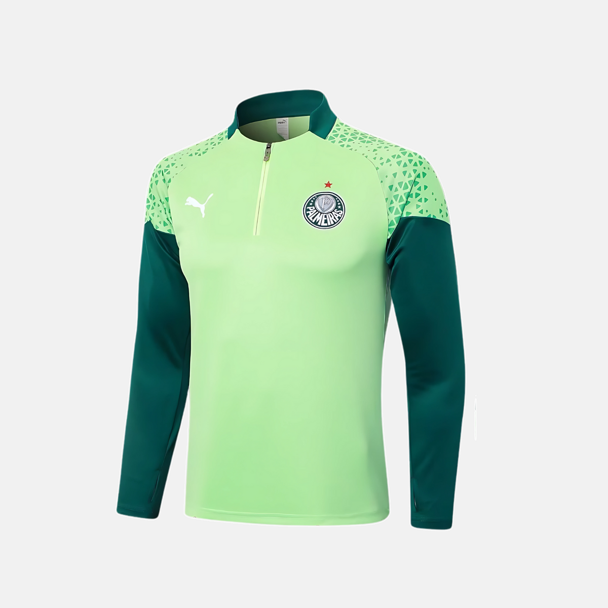 Conjunto de Treino Puma Palmeiras 2024/25 II - Masculino - imagem 2