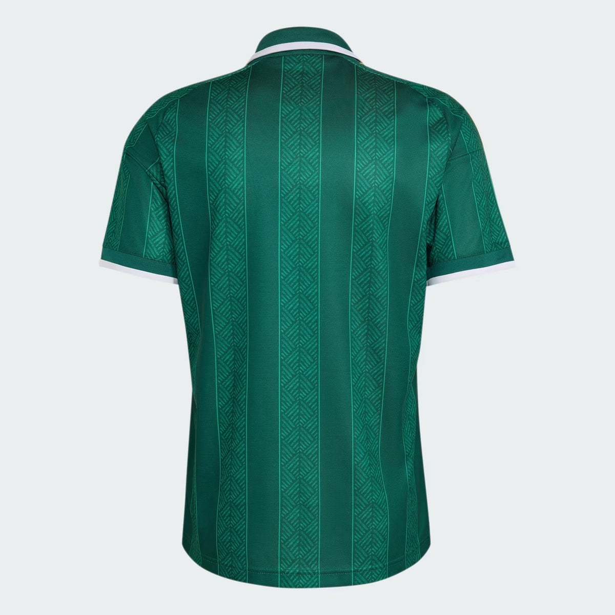 Camisa África do Sul 2026/27 I - imagem 6