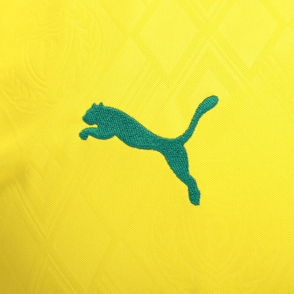 Camisa Puma Palmeiras 2025/26 III Torcedor - imagem 5