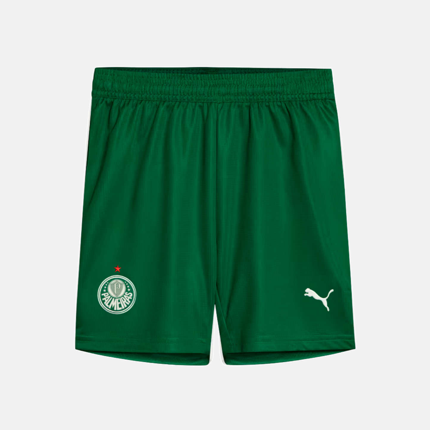 Shorts Palmeiras 2025 II - Torcedor