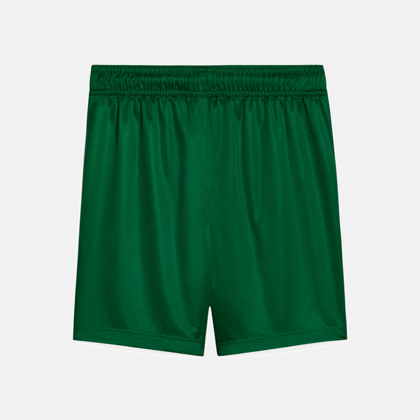 Shorts Palmeiras 2025 II - Torcedor - imagem 2