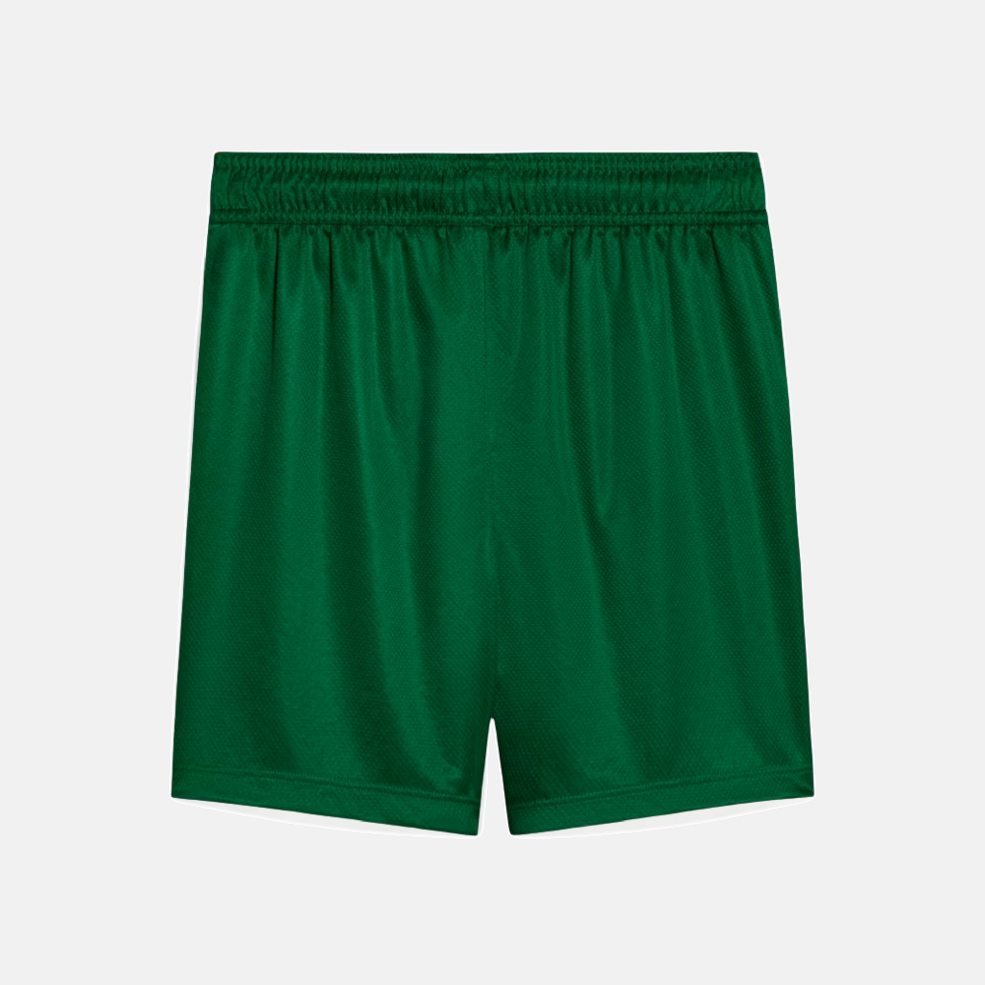Shorts Palmeiras 2025 II - Torcedor - imagem 2